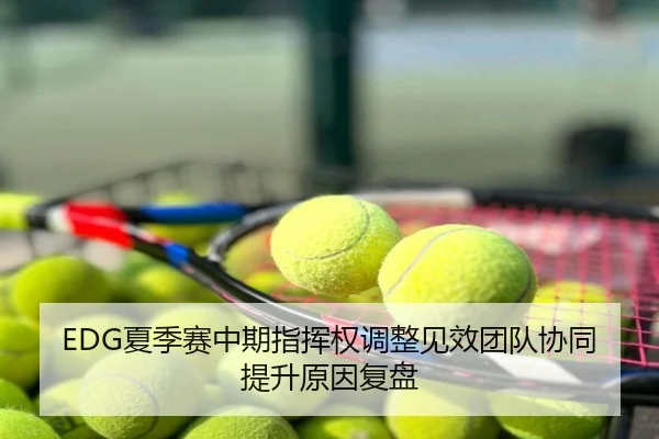 EDG夏季赛中期指挥权调整见效团队协同提升原因复盘