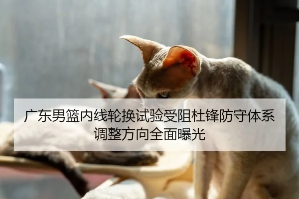 广东男篮内线轮换试验受阻杜锋防守体系调整方向全面曝光