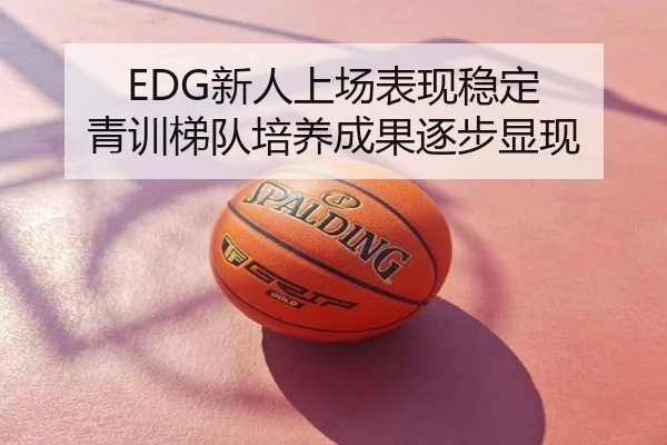 EDG新人上场表现稳定 青训梯队培养成果逐步显现